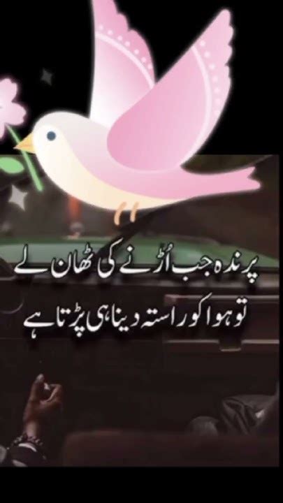 POSCII SE4029SCSE Fire: Breaking News & Updates