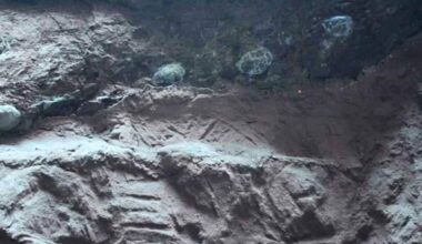 Paleontologists Found Giant Crystals Growing Inside Dinosaur Eggs