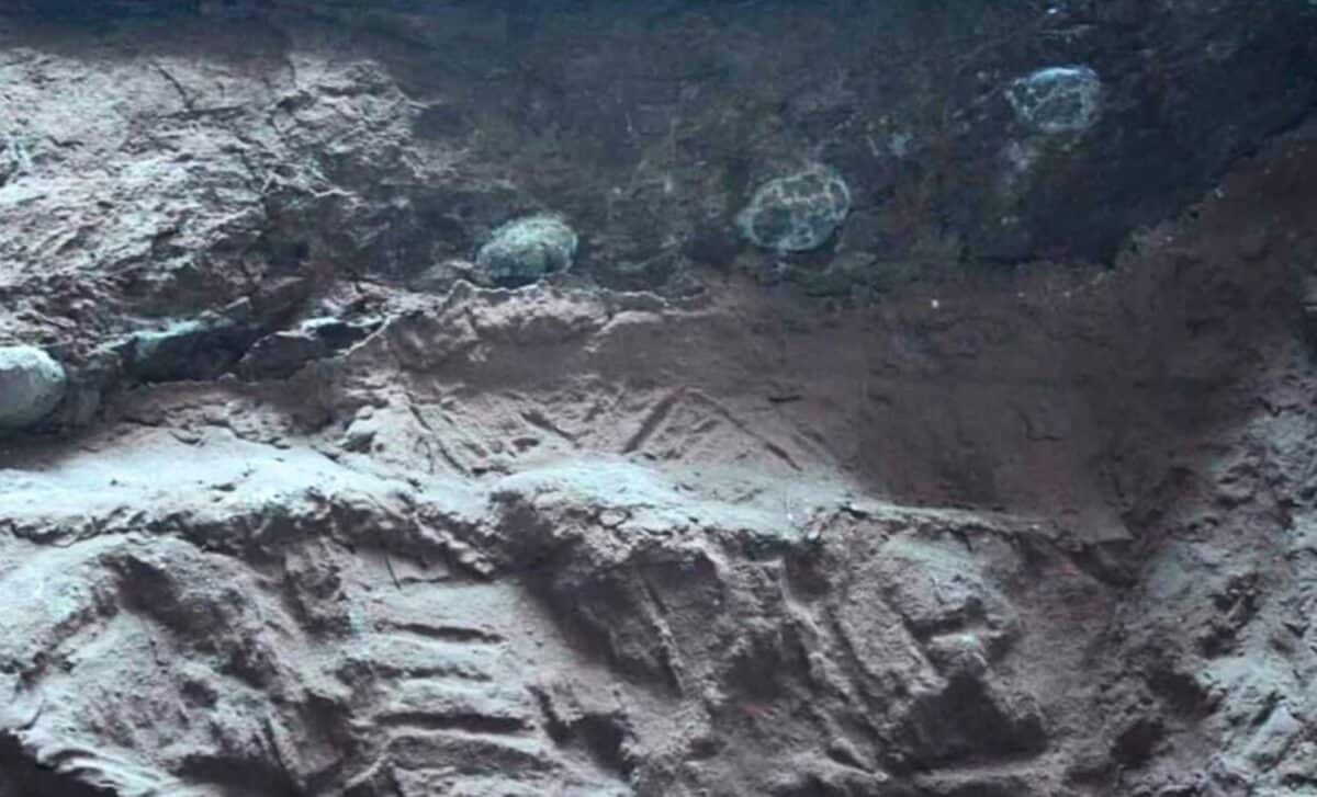 Paleontologists Found Giant Crystals Growing Inside Dinosaur Eggs