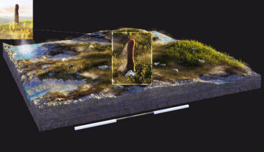 Enormous 26-foot fossil is labeled as an "unknown life form"