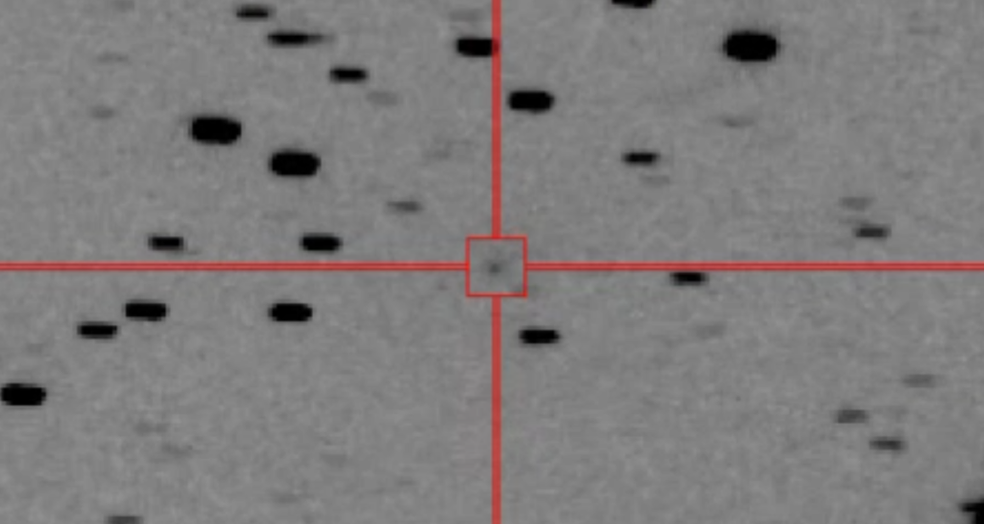 A black and white image shows a gray background speckled with dots with a crosshairs and a box circling a specific dot in the center of the image