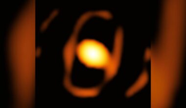 A blurry close-up image of a star