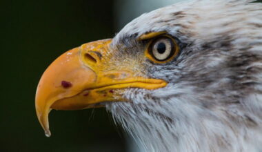 experience time at dramatically different speeds