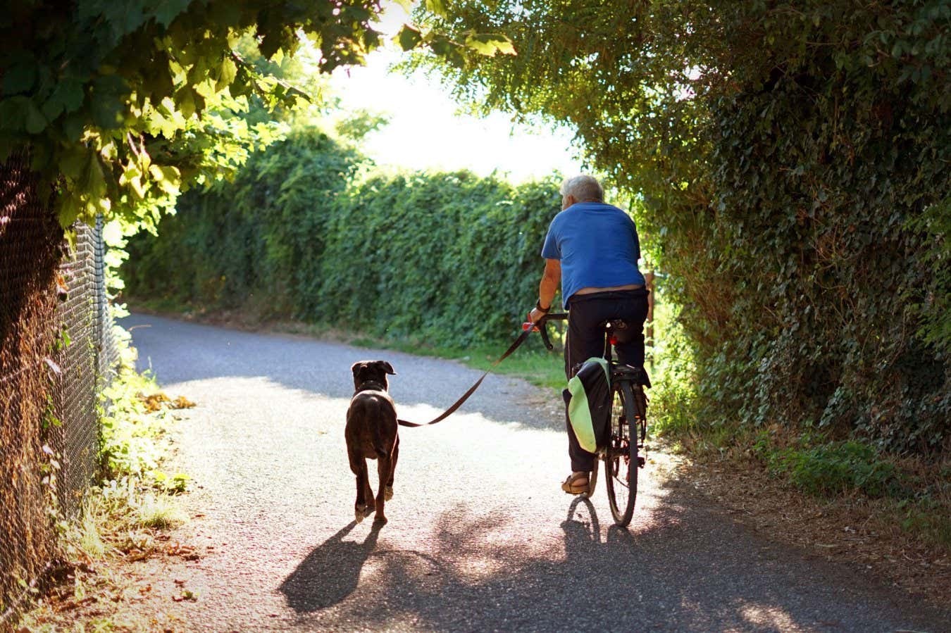 2FN4E6Y Man cycling on a country road with his dog on a leash. Backview of a man who riding with his dog that running next to him. Healthy lifestyle.