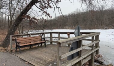 Will County Forest Preserve work could harm endangered species