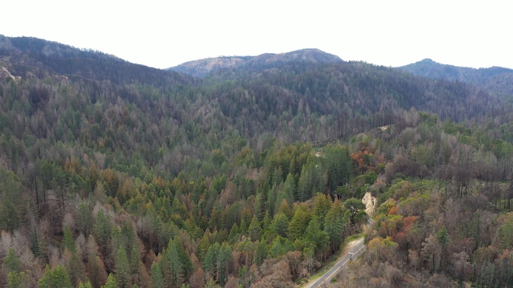 Big Basin Redwoods State Park to expand with NoraBella property in Boulder Creek – Santa Cruz Sentinel