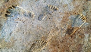 Scientists Have Discovered Ancient Human Footprints Buried In Remote Desert Sands, Here’s What They Reveal