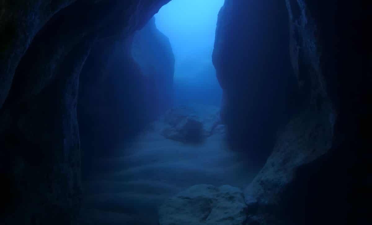 Scientists Just Discovered What Created This Massive, Mysterious Ocean Canyon Bigger Than The Grand Canyon!