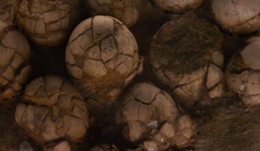 Scientists Used A Giant Accelerator To See Inside Dinosaur Eggs, The Embryos Are Still Perfectly Preserved