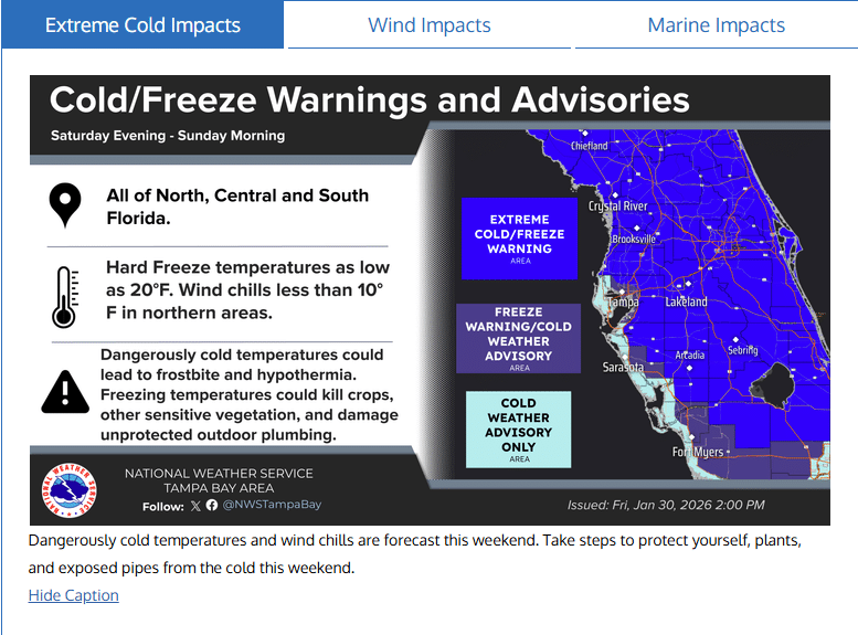 The Great Freeze Hits Animal Kingdom