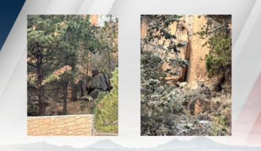 Possible Wolf Sighting in Bend following Confirmed Wolf Sighting in Sunriver