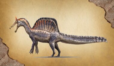 Spinosaurus mirabilis