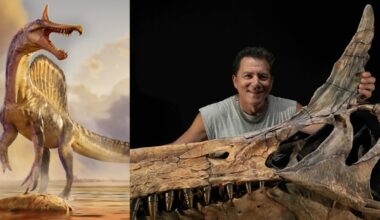 ‘You might uncover a lost world’