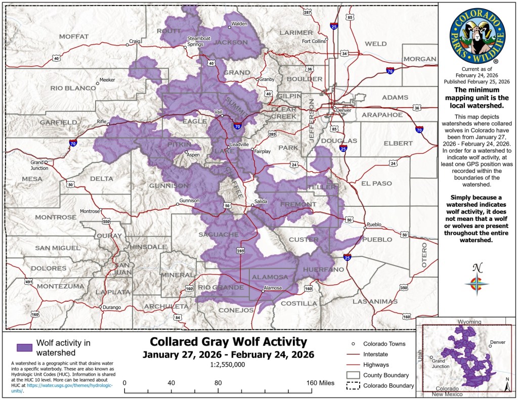 Colorado wolves push farther into southern Front Range, new map shows