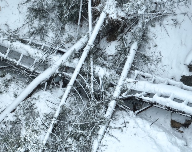 Tuolumne Main Canal Damage