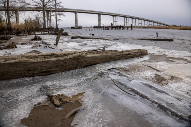 Ice has formed on the shore of the North Landing River near the Pungo Ferry Road bridge in Virginia Beach, Va., on Jan. 31, 2026. (Peter Casey / The Virginian-Pilot)