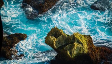 This Ocean Is Losing Salt At Unprecedented Speed, And It Might Just Turn Our Climate Plans Upside Down