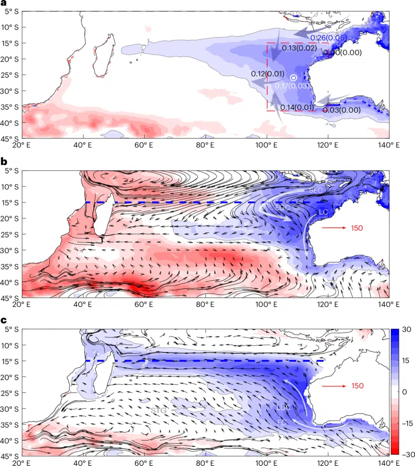 This Figure Displays Salinity Anomalies And Ocean Currents In The Southern Indian Ocean.