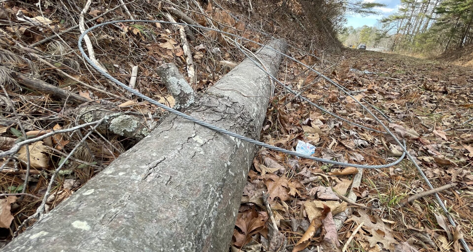 ‘Radical tree trimming’ by Duke Energy contractors in Weaverville? Why no streetlights for Long Shoals Road? • Asheville Watchdog