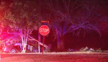 Car hits tree on Trinity Road in Cary :: WRAL.com
