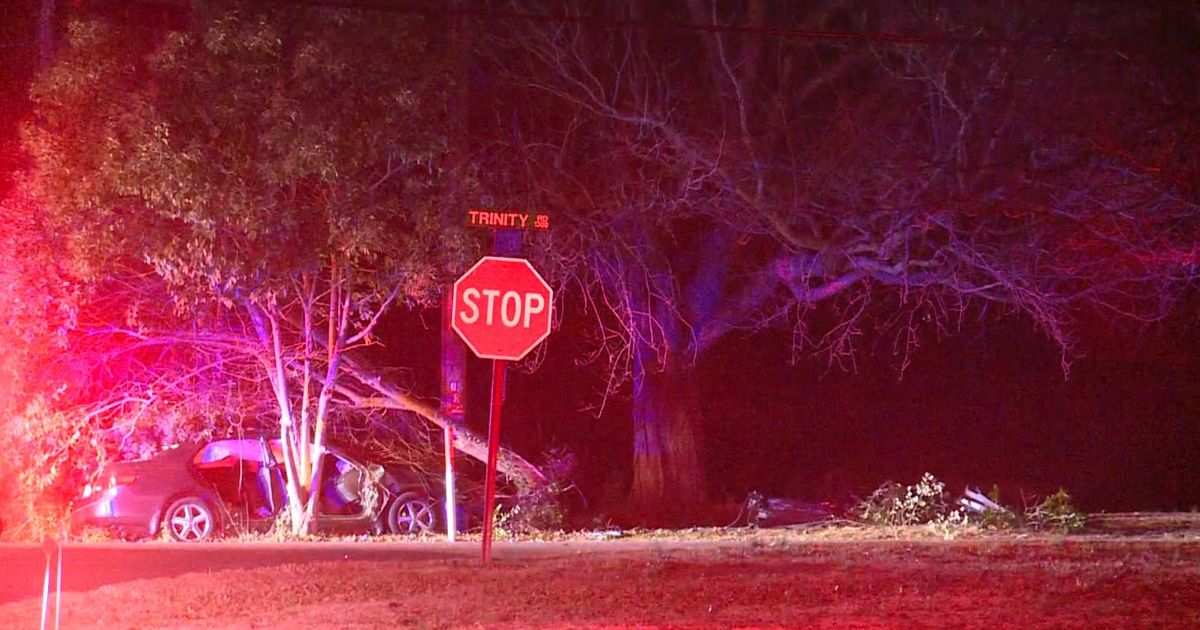 Car hits tree on Trinity Road in Cary :: WRAL.com