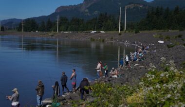 Oregon ballot initiative could make hunting, fishing illegal – Deseret News