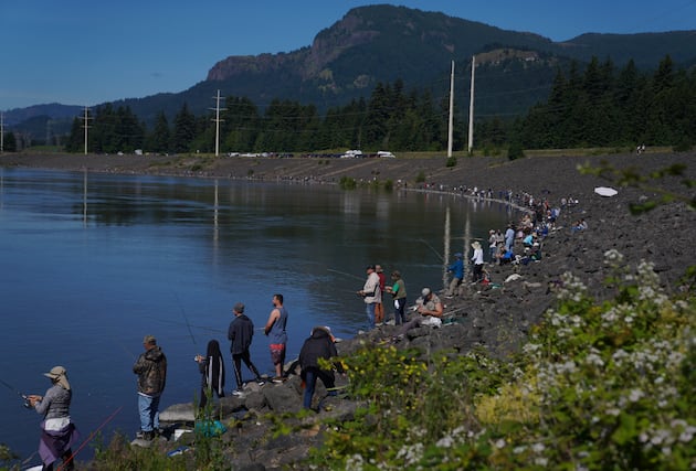 Oregon ballot initiative could make hunting, fishing illegal – Deseret News