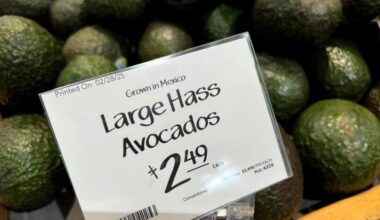 Global leaders and businesses pore over fallout of more US tariff swoons – Chicago Tribune