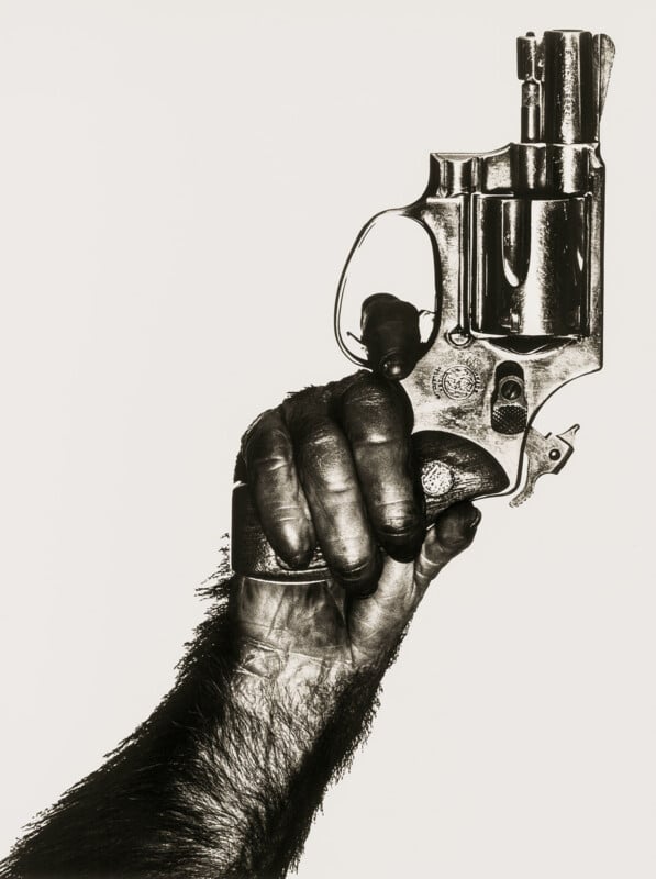 A black-and-white image of a hairy, ape-like hand gripping a revolver, held upright against a plain white background.