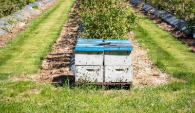 Oregon’s Economy Has Lagged for Decades. Some Blame a Shrinking Workforce and Too Much Red Tape.