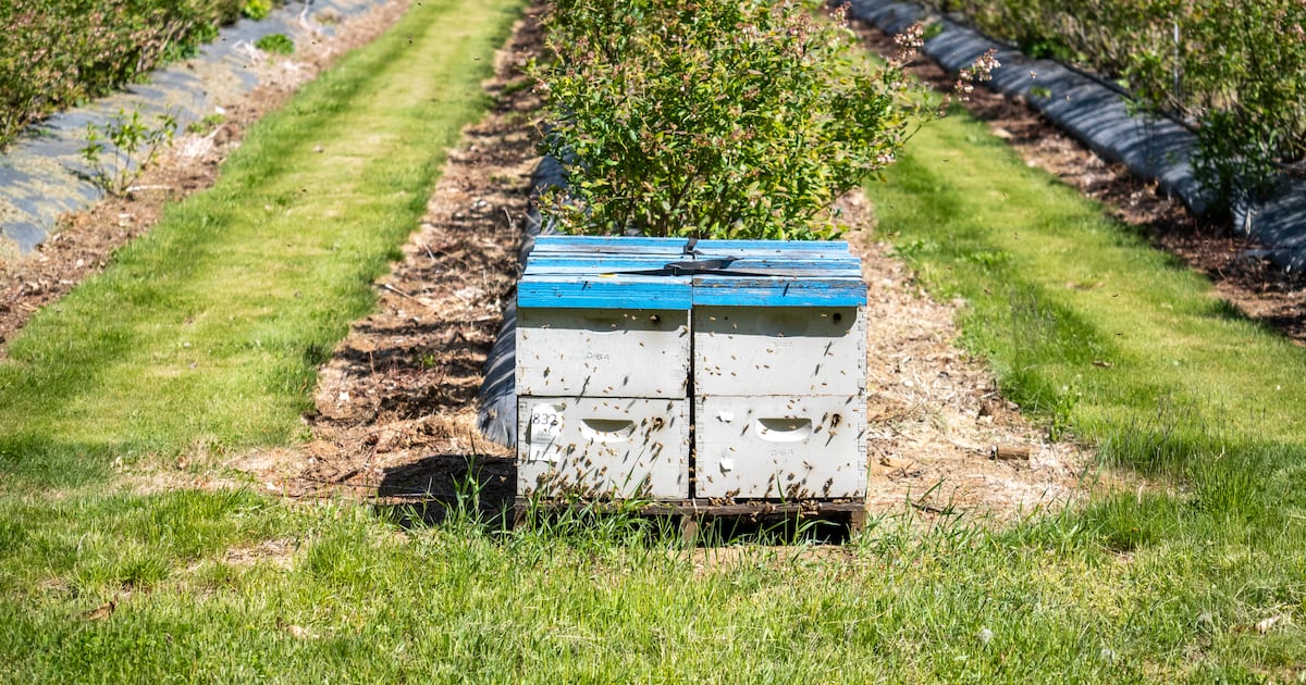 Oregon’s Economy Has Lagged for Decades. Some Blame a Shrinking Workforce and Too Much Red Tape.