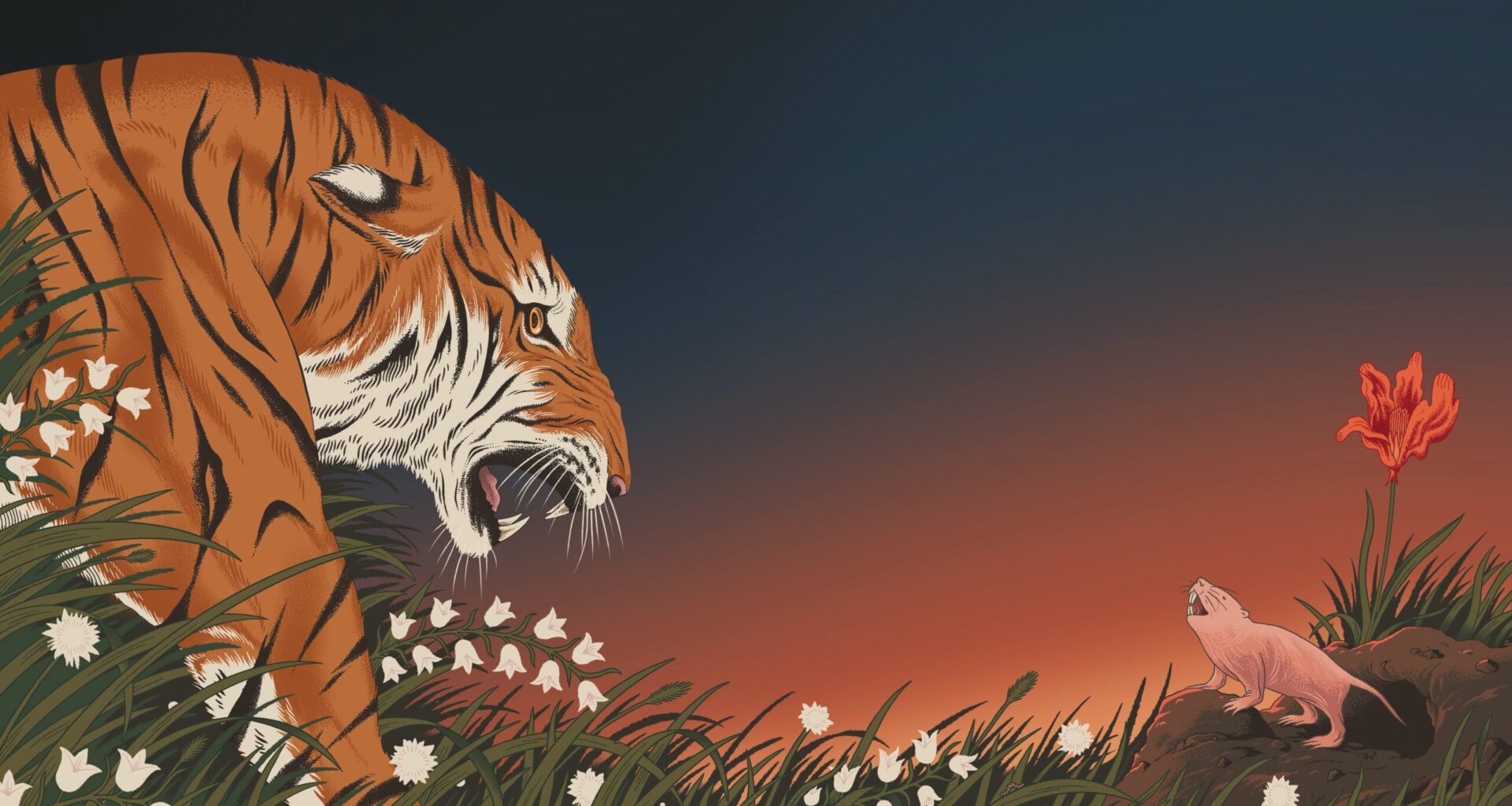 Learning about longevity from long-lived animals