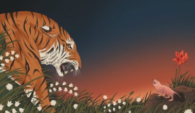 Learning about longevity from long-lived animals