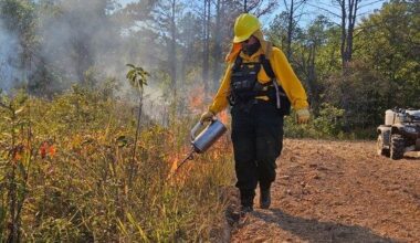 Where there's smoke, there's habitat