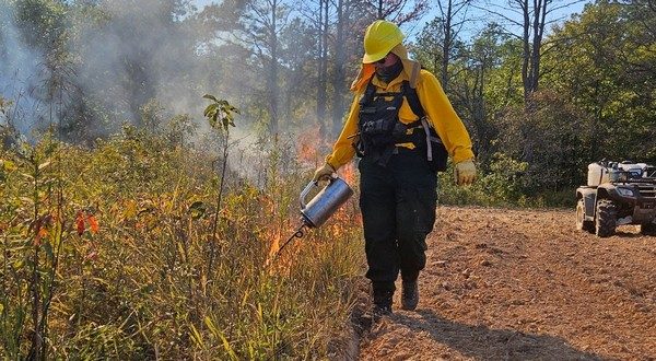 Where there's smoke, there's habitat
