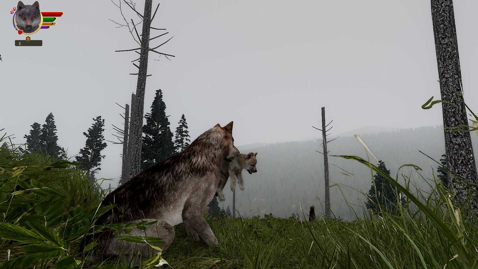 WolfQuest is a computer game in which people create their own wolf characters in a virtual Yellowstone National Park and try to find prey while avoiding fights with other wolves or being shot by hunters.