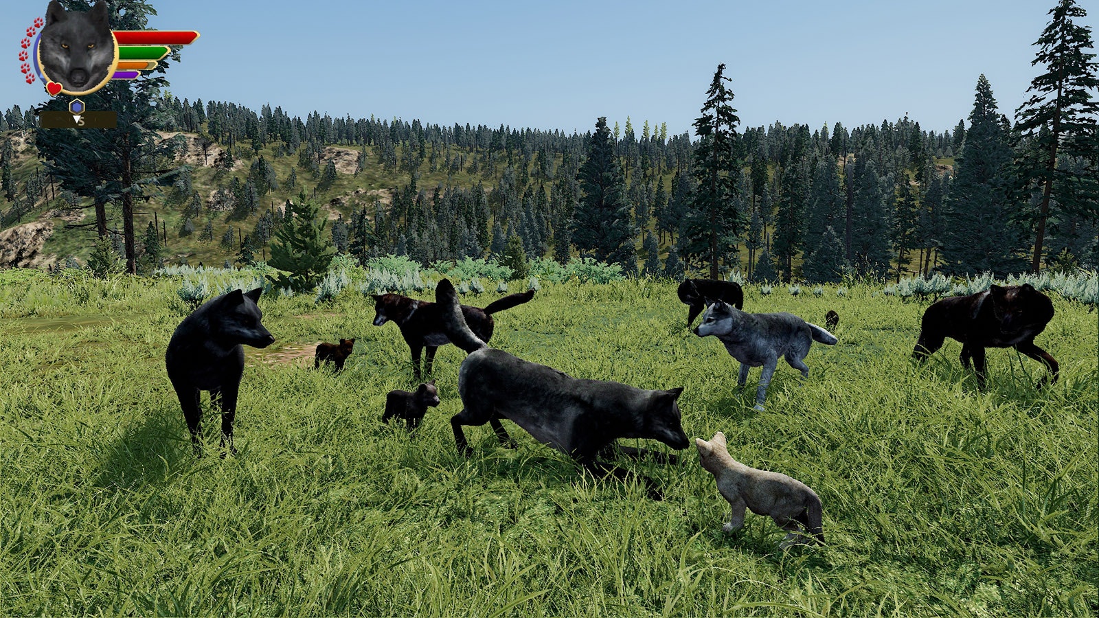 WolfQuest is a computer game in which people create their own wolf characters in a virtual Yellowstone National Park and try to find prey while avoiding fights with other wolves or being shot by hunters.