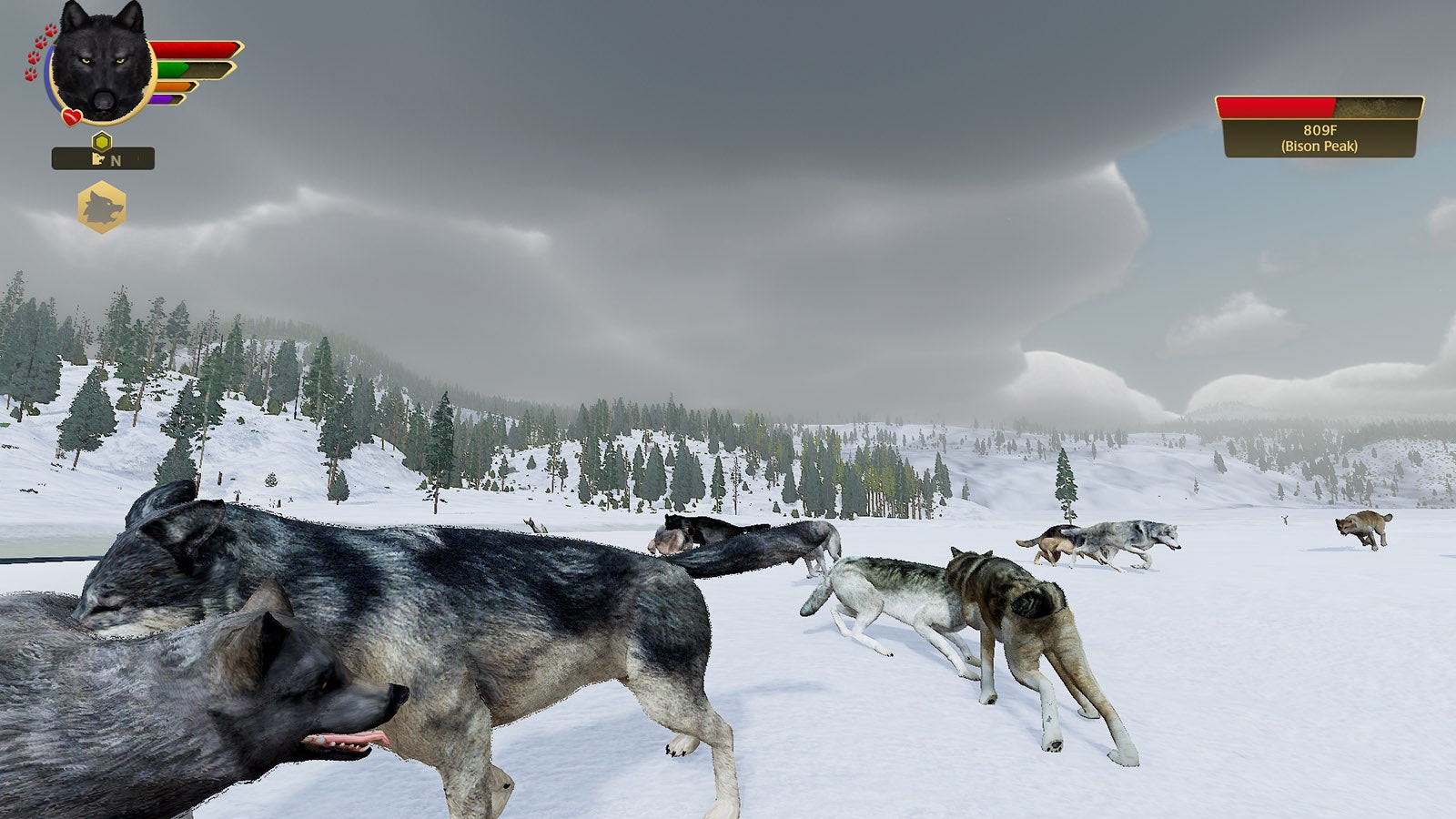 WolfQuest is a computer game in which people create their own wolf characters in a virtual Yellowstone National Park and try to find prey while avoiding fights with other wolves or being shot by hunters.
