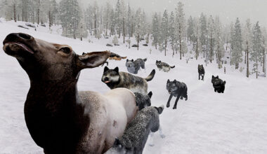 Cowboy State Daily logo