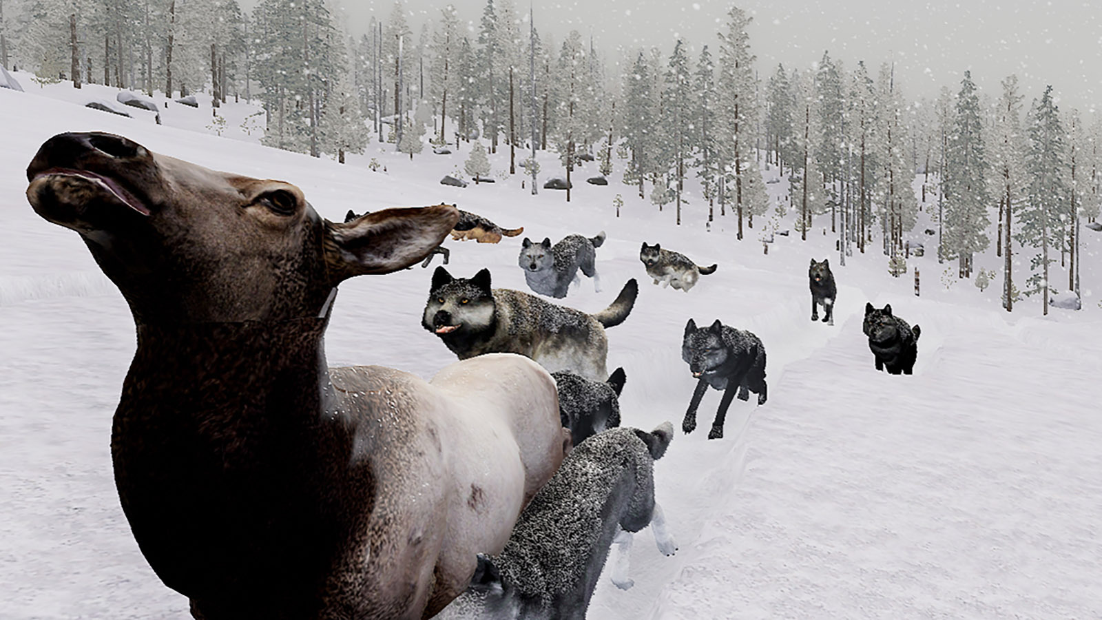 Cowboy State Daily logo