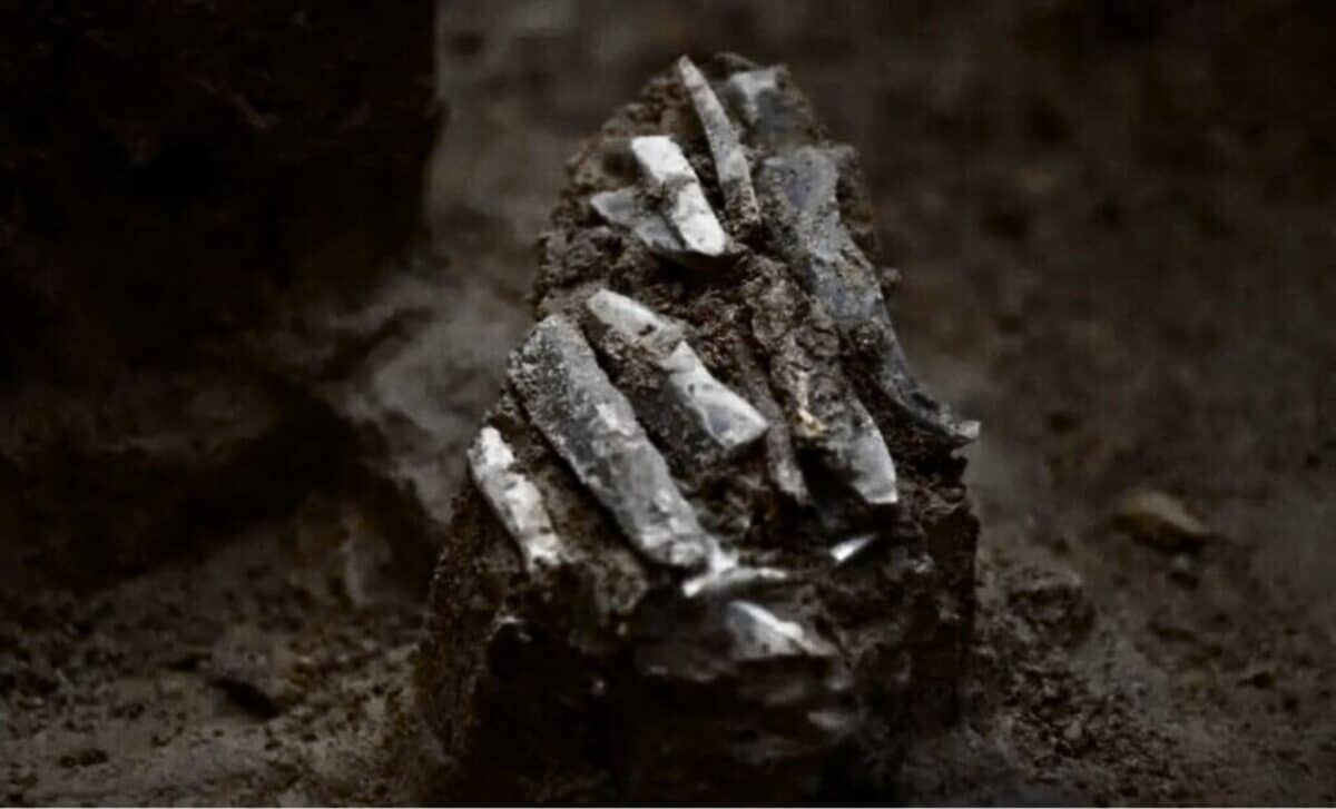 A Cluster Of Stone Blades Finally Surrenders The Secrets Of The Person Who Carried Them