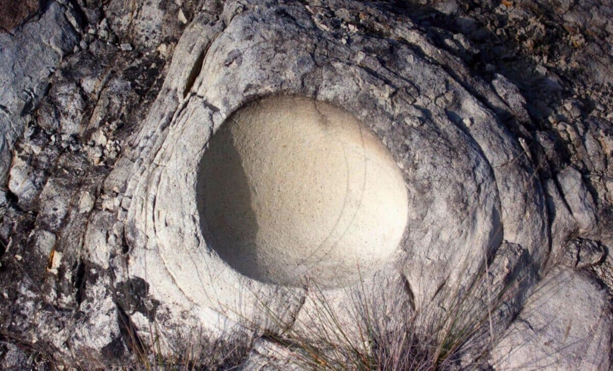 A Dinosaur Egg With Another Egg Inside It