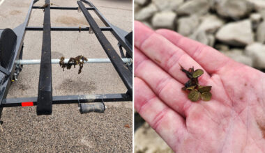 Texas Game Wardens have a warning after what was found on boater's trailer