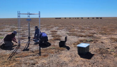 Surveillance device on outback cattle station captures incredibly rare Aussie animal