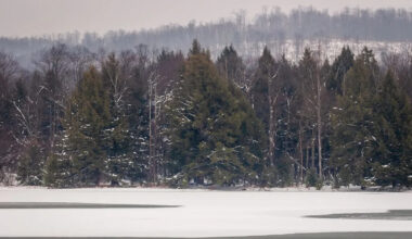 Yahoo lifestyle home