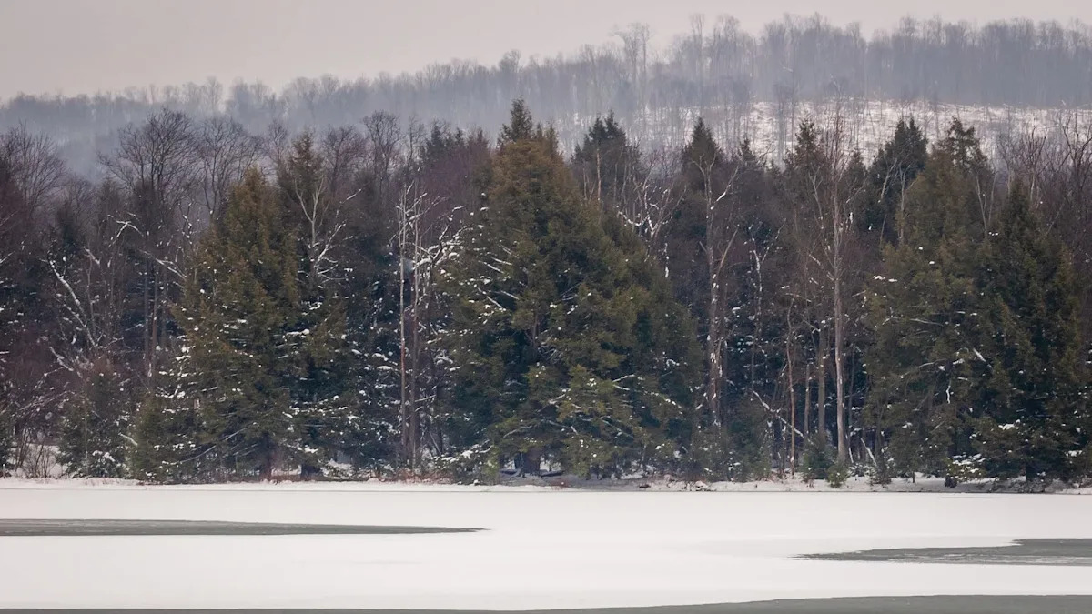 Yahoo lifestyle home