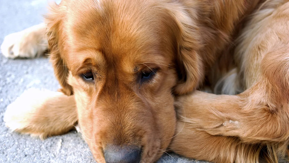 Yahoo lifestyle home