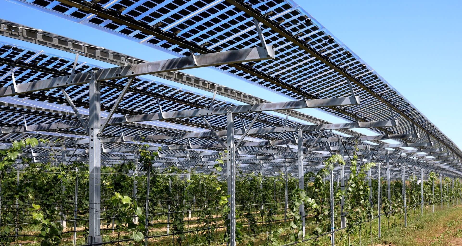 Rebekah Pierce is helping reshape how people think about farmland, promoting what she calls "agri-energy" to help farmers and the planet.