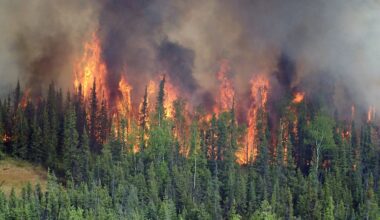 Alaska reports more wildfires than any time in the past 3,000 years