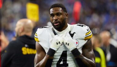 Steelers, WR DK Metcalf sued by Lions fan for allegations from game altercation